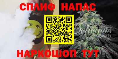 гашик Ирбит