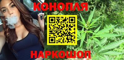 прущие грибы Изобильный