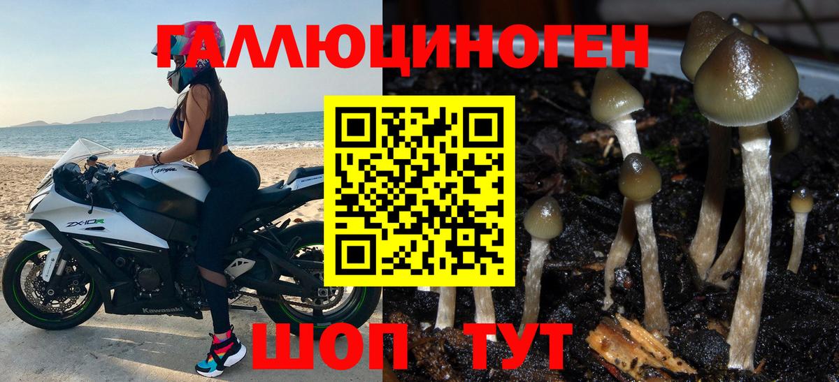 Псилоцибиновые грибы прущие грибы Магнитогорск