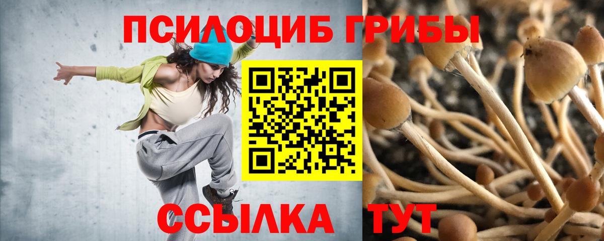 Магнитогорск  Псилоцибиновые грибы прущие грибы  Вход с VPN 